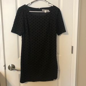 Lauren Conrad Velvet Polka Dot Dress